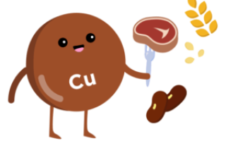 В каких продуктах содержится селен?