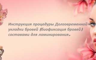 Биофиксация бровей в салоне: как проводится идеальная долговременная укладка