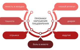 Лучшие пищеварительные ферменты