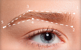 Брови как правильно придать форму