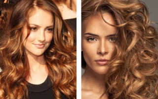 Красивый каштановый цвет волос (50 фото) — Как добиться идеального оттенка?