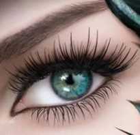 Как правильно завить ресницы щипцами