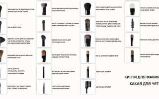 Косметические кисти для нанесения макияжа: какая для чего+фото
