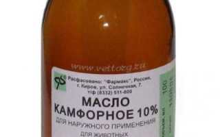 Камфорное масло для волос – рецепты средств на основе продукта