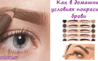 Красим брови краской — пошаговый мастер-класс