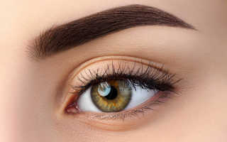 Качественная хна для бровей и правила ее разведения