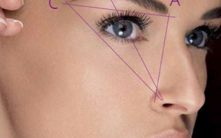 Оформление бровей в домашних условиях поэтапно