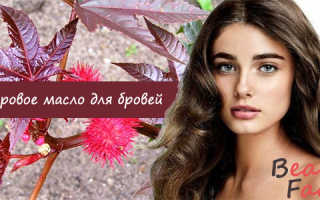 Касторовое масло для бровей: секреты успешного применения