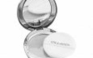 Лучшая пудра для лица: подбираем средство по типу кожи