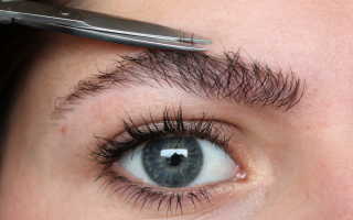 Как вырастить брови там где их нет