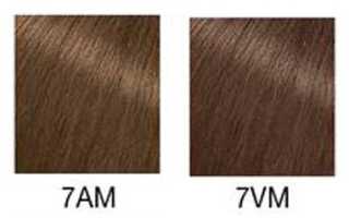 Matrix Color Sync — Краска для волос Прозрачный оттенок CLEAR 90мл