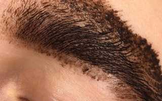 Чем лучше покрасить брови хной или краской