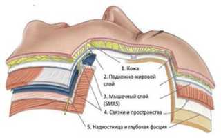 Что такое лифтинг ресниц и какие особенности процедуры?