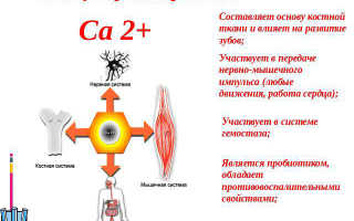 Симптомы, признаки и последствия дефицита кальция для организма