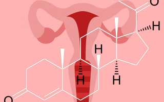 Как повысить уровень эстрогена у женщин?