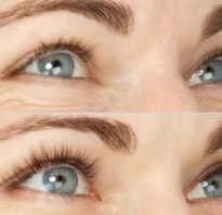 Масло для ресниц: обзор лучших продуктов и рецептов для домашнего ухода