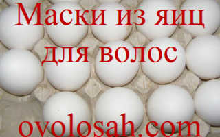 Как приготовить маску для волос с желтком и оливковым маслом? Лучшие рецепты