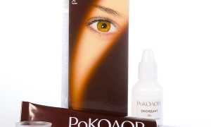 Краска для бровей и ресниц роколор: состав и инструкция