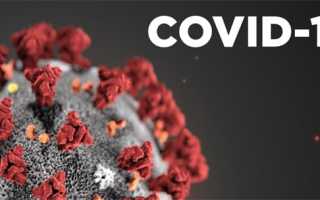 Лучшие антисептические средства для обработки рук и поверхностей