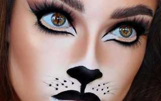 Как сделать макияж кошки на Хэллоуин