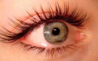 Наращивание ресниц коричневого цвета