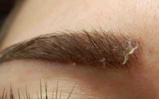 Чем мазать брови после микроблейдинга