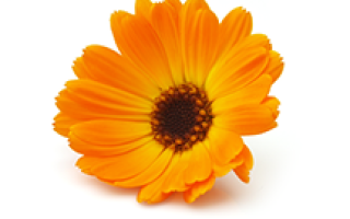 Лучшие тоники для жирной кожи лица